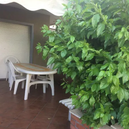 Perla Verde *
